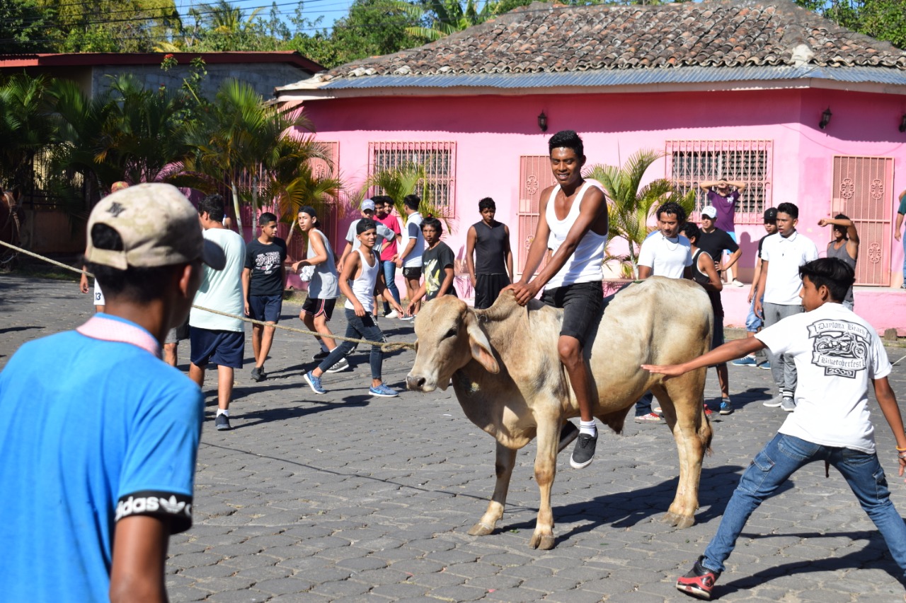 TOROS1